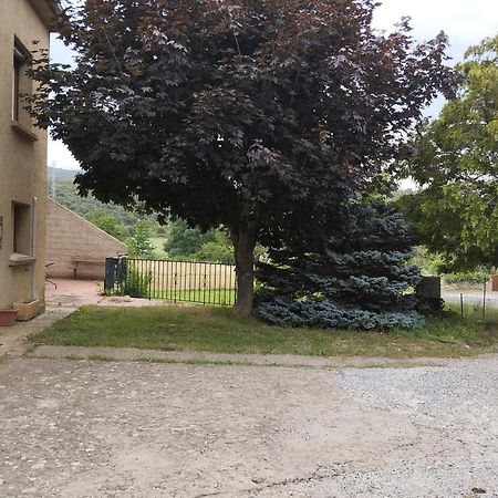 Maison Du Verdouble Rouffiac-des-Corbières Dış mekan fotoğraf